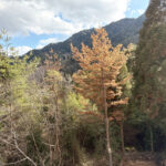 ２階バルコニーからの眺望