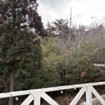 1階テラスからの眺望