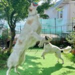 お庭