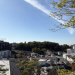 現地からの眺望現地(2025.11) 現地からの眺望現地(2025.11)