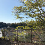 現地からの眺望現地(2025.11) 現地からの眺望現地(2025.11)